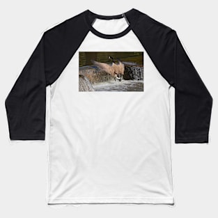 Short Flight Take Off Baseball T-Shirt